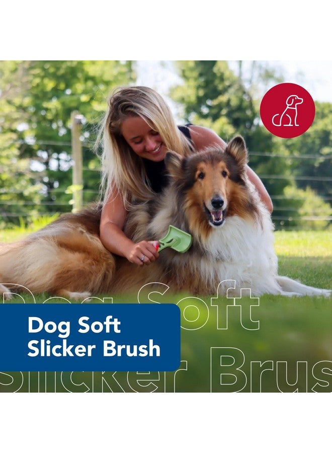 Coastal Pet Safari Dog Soft Slicker Brush - Dog Grooming Brush for Shedding - for Dogs with Short, Medium and Long Hair - Small - 6.5" x 2.5" - Image 2