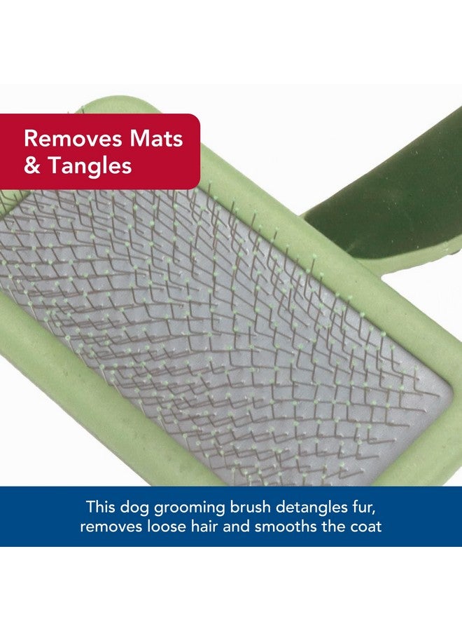 Coastal Pet Safari Dog Soft Slicker Brush - Dog Grooming Brush for Shedding - for Dogs with Short, Medium and Long Hair - Small - 6.5" x 2.5" - Image 4