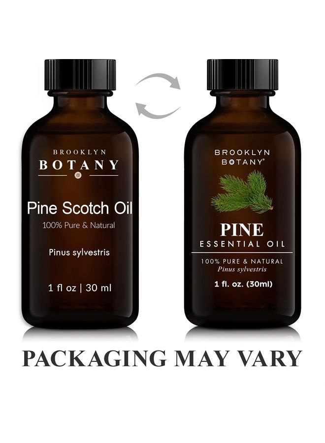 Brooklyn Botany Pine Essential Oil – 100% Pure and Natural – Therapeutic Grade Essential Oil with Dropper - Pine Oil for Aromatherapy and Diffuser - 1 Fl. OZ - Image 2