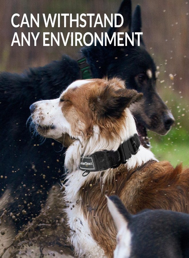 CollarDirect Heavy Duty Dog Collar for Large or Medium Dogs, Adjustable Strong Dog Collar for Active Dogs, Double-Layered Nylon (Black, 14-20) - Image 4