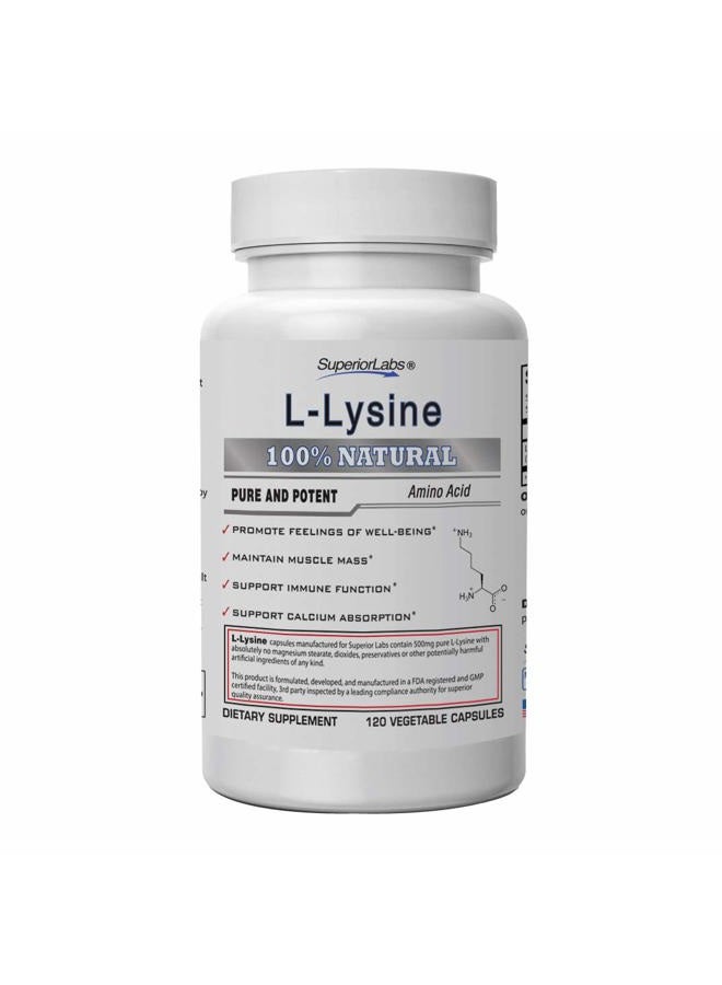 Superior Labs – Best L-Lysine NonGMO - Dietary Supplement –500 mg Pure Active L-Lysine – 120 Vegetable Capsules – Supports Calcium Absorption – Immune System & Respiratory Health Support - Image 1