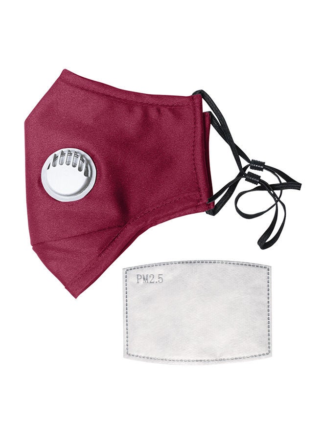 NIBEMINENT Anti Air Pollution Dust Mask With 2-Replaceable Filters - Image 1