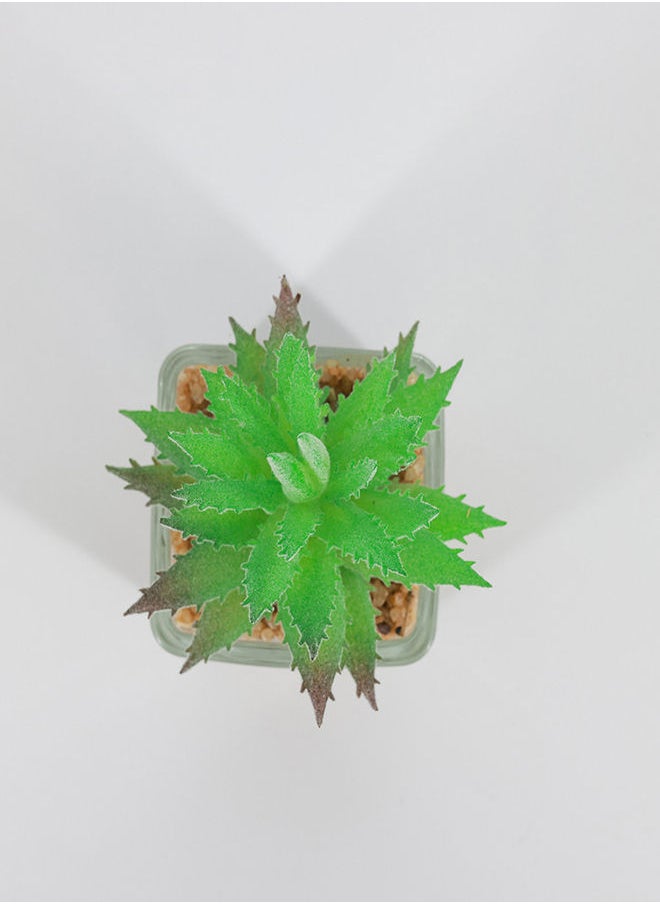 Rahalife Artificial Succulent Bonsai  - Image 2