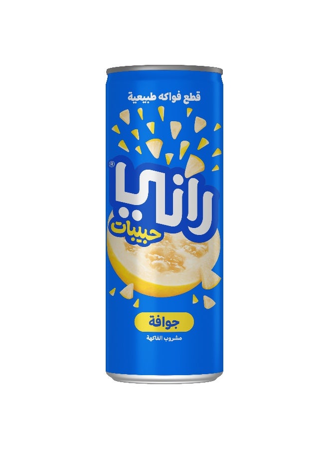 Rani عصير جوافة راني مع قطع 240 مل في علبة × 24 عبوة - Image 4