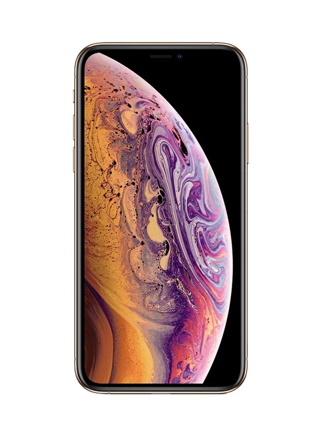 ابل  هاتف آيفون XS ماكس بخاصية فيس تايم بلون ذهبي وذاكرة داخلية سعة 512 غيغابايت ويدعم خدمة الجيل الرابع LTE - Image 2