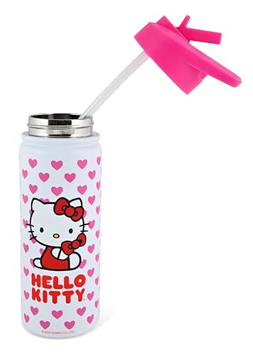 Fast Forward Sanrio Hello Kitty Insulated Stainless Steel Water Bottle | 20 Oz Insulated Water Bottle | Kids Water Bottle Thermos for Girls, Boys, Unisex, C6VAC13FN - Image 5