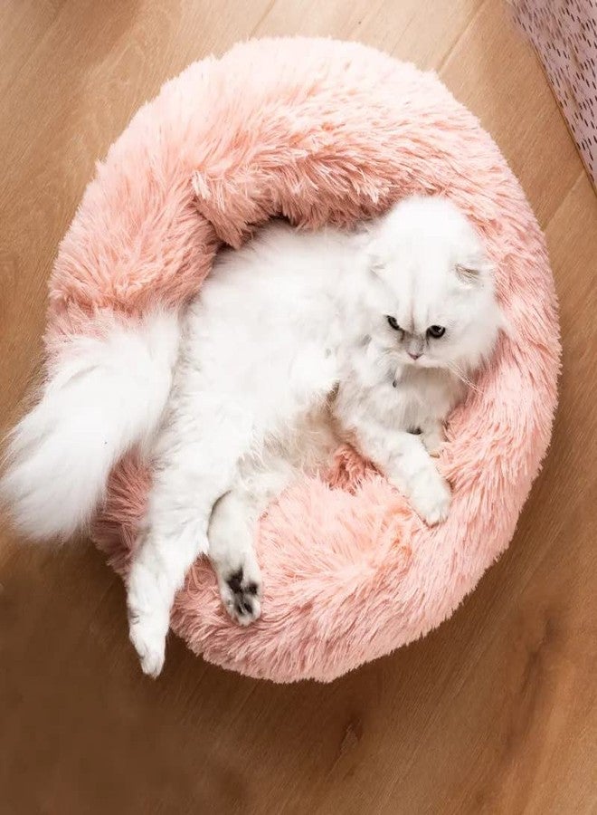 Cat Beds for Indoor Cats - Cat Bed Washable 20/24 inches, Dog Beds for Small Medium Dogs, Anti Anxiety Round Fluffy Plush Faux Fur Pet Bed, Thick Bottom (Pink, Medium) - Image 5