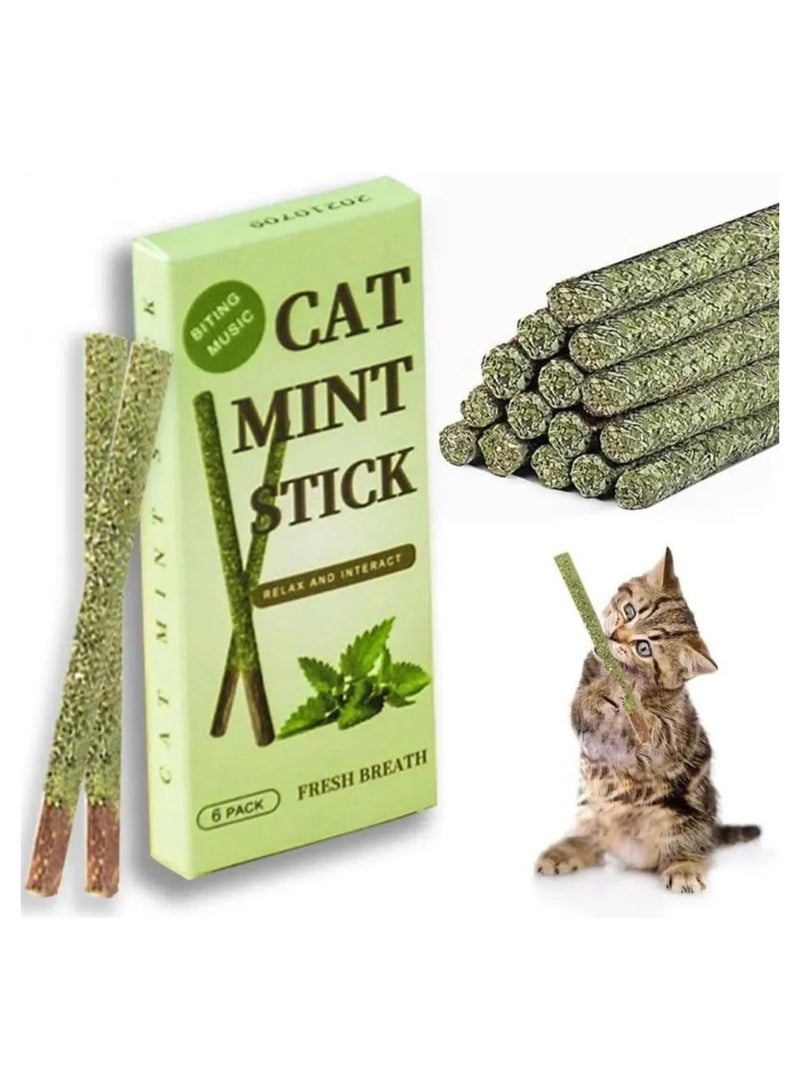 Natural Cat Mint Sticks | Dental Health | Eco-Friendly Toy | Fresh Breath Fun - Image 2