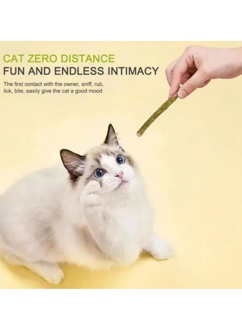 Natural Cat Mint Sticks | Dental Health | Eco-Friendly Toy | Fresh Breath Fun - Image 3