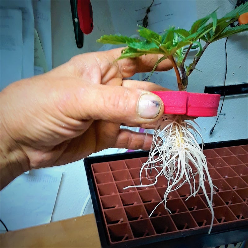 CLONE KING 36 Site Aeroponic Cloning Machine. Expect 100% Success Rates! - Image 4