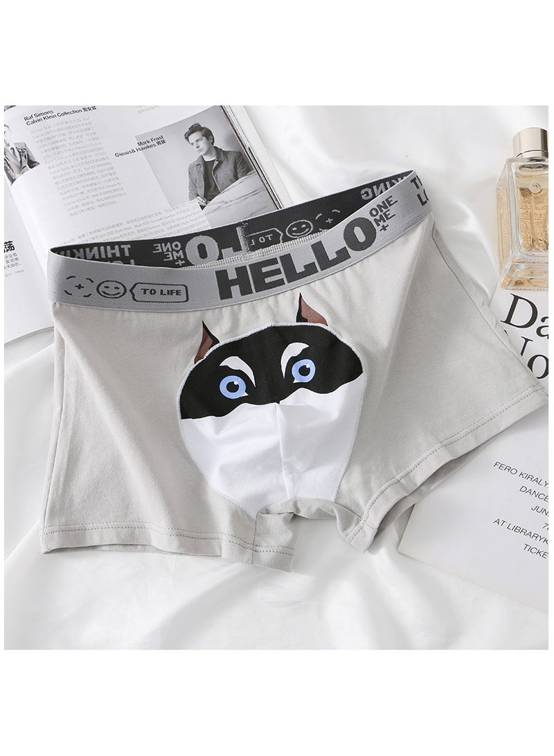 Boxed Men's Printed Breathable Four Corner Underwear Of 3 Pieces  - Image 3