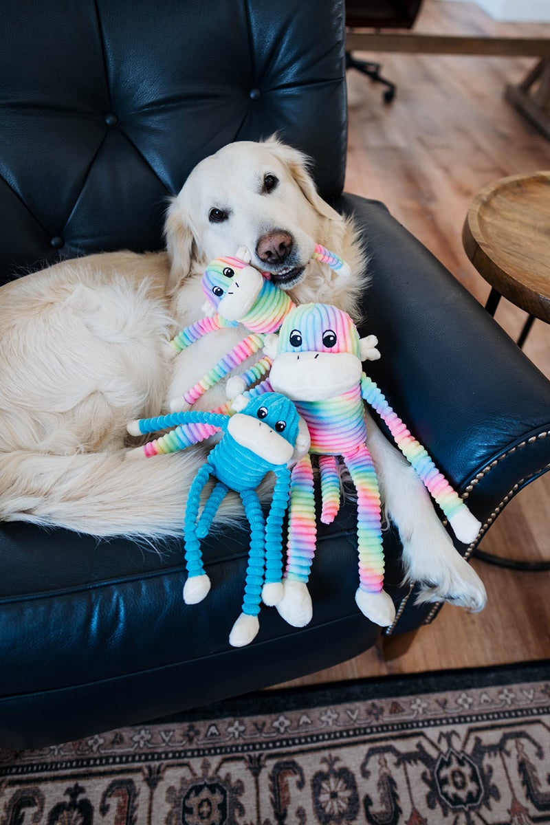 ZippyPaws Crinkle Monkey - Interactive Dog Toys to Keep Them Busy, Squeaky Plush Pet Toy for All Breeds, for Small and Medium Dogs, Contains Round Squeakers - Rainbow & Blue 2-Pack, Small - Image 4