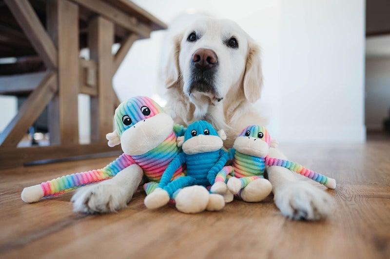ZippyPaws Crinkle Monkey - Interactive Dog Toys to Keep Them Busy, Squeaky Plush Pet Toy for All Breeds, for Small and Medium Dogs, Contains Round Squeakers - Rainbow & Blue 2-Pack, Small - Image 5