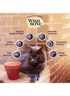 Wishbone Wishbone Ocean New Zealand King Salmon, Gluten Free, Premium Salmon Recipe Cat Food for Overall Pet Health - 4 lb  - Image 4
