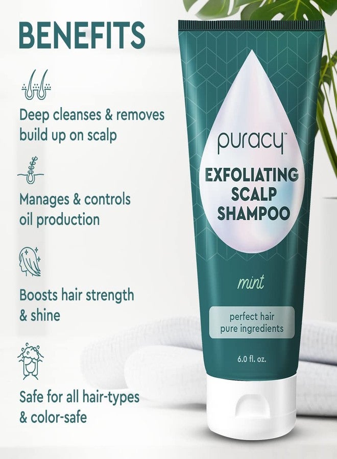 Puracy Scalp Scrub, 99.96% Natural Scalp Exfoliator, Hair Scrub, Scalp Exfoliator Scrub, Scalp Treatment, Scalp Cleanser, Dry Scalp Treatment, Scalp Care, Scalp Shampoo, Itchy Scalp Shampoo - Mint - Image 2