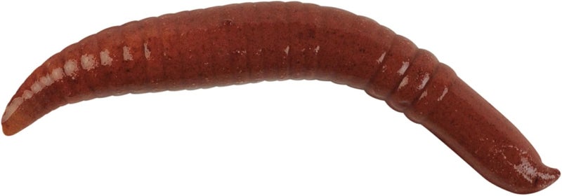 Berkley Gulp! Floating Pinched Crawler Fishing Soft Bait - Nightcrawler, 1-Inch