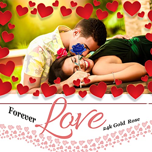 MNIEYU Gold Rose 24K Plated Gold Dipped Rose, Forever Preserved Long Stem Rose Flowers with Stand,Romantic Gift for Valentine's and Mothers Day, Anniversary, Birthday,Gifts for Her,Wife,Girlfriend - Image 3