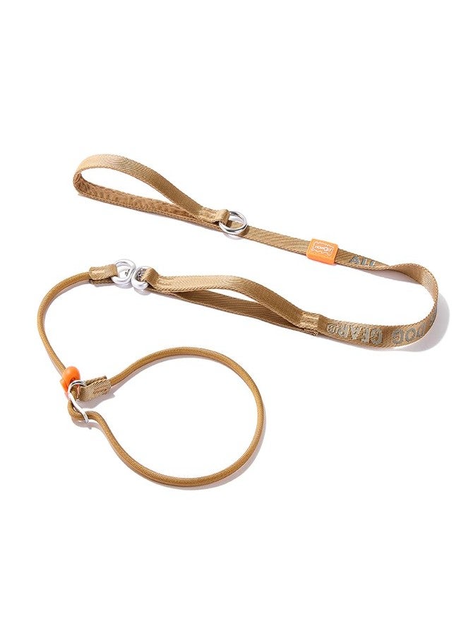 HowGo Slip Lead Dog Leash with Double Handles | Reflective Dog Training Leash with 360° Swivel Anti-Tangle | Heavy-Duty Lead and Collar for Large Medium and Small, No-Pull Walking (Brown, 5.5FT) - Image 1