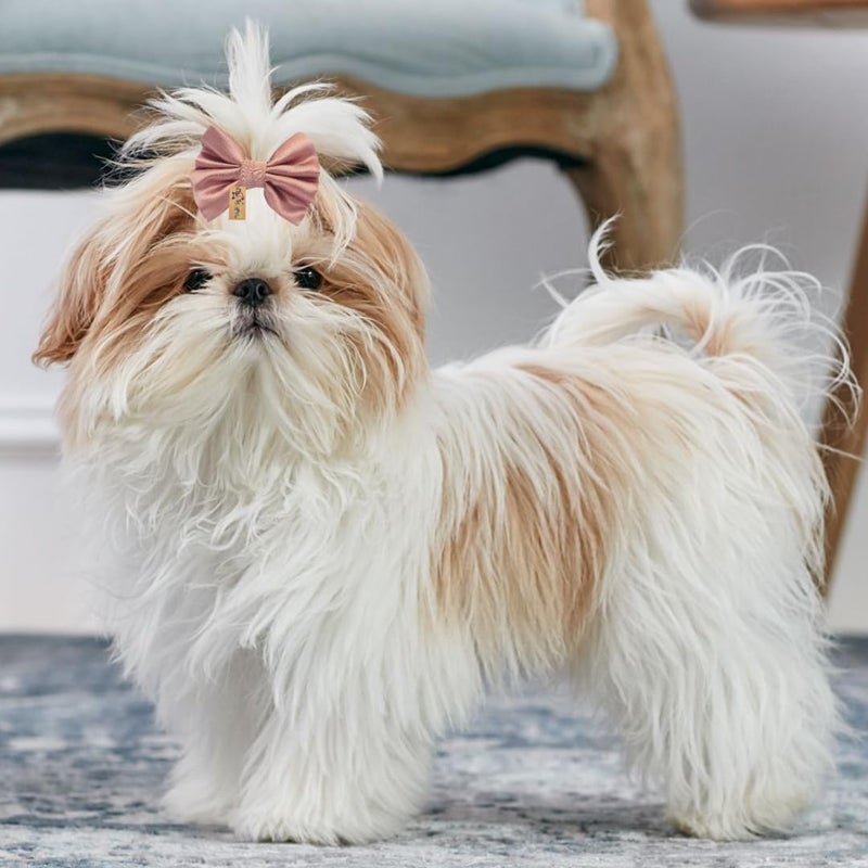 Western Era Dog Bow Hair Clip | Stylish Pet Accessory | Soft, Comfortable | Small, Medium & Large Dogs | Grooming, Photoshoots, Parties Fashionable & Durable Design for Pets (Pink) - Image 2