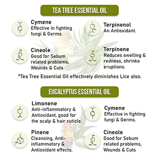 KEYA SETH AROMATHERAPY, DEVICE OF DROP KEYA SETH AROMATHERAPY Scalp care Dandruff Removal Shampoo with Salicylic Acid, Tea Tree & Eucalyptus Oil –Reduces Dandruff & Flakes Itchy scalp 200ml - Image 4