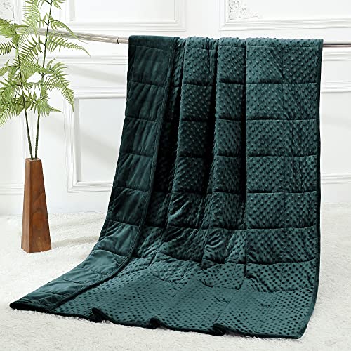 Alomidds Weighted Blanket, Luxury Velvet Heavy Blankets for Adults and Kids,Warm and Breathable Soft and Comfort Minky, Gravity Blanket with Glass Beads (48"x72",12lbs Twin Size - Green) - Image 1