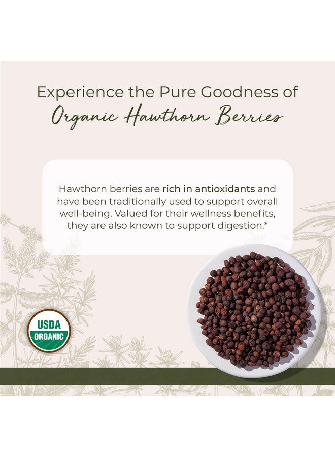Starwest Botanicals Organic Hawthorn Berries Whole, 1 Pound - Image 2