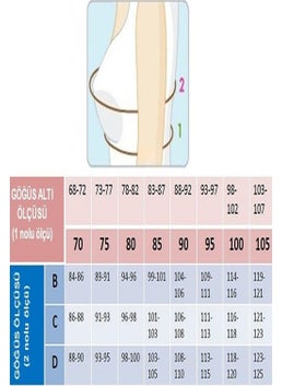 Magic Form 3685 Women's Thin Sponge Lace Support Bra-Zinc  - Image 2