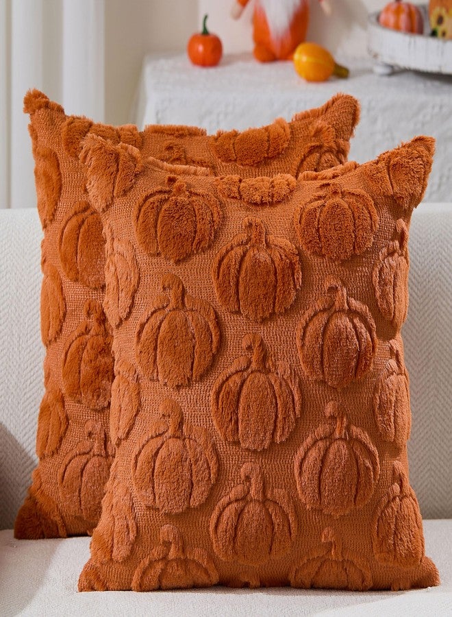 DFXSZ Fall Pillow Covers 18x18 Set of 2 Fall Decorations Autumn Rust Pumpkin Throw Pillow Cases Soft Plush Faux Fur Wool Couch Cushion Case for Chair Sofa Living Room Home Decor PTK045D18 - Image 1