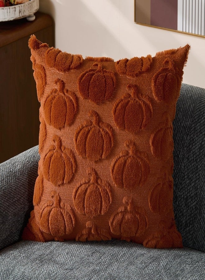 DFXSZ Fall Pillow Covers 18x18 Set of 2 Fall Decorations Autumn Rust Pumpkin Throw Pillow Cases Soft Plush Faux Fur Wool Couch Cushion Case for Chair Sofa Living Room Home Decor PTK045D18 - Image 3