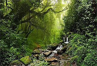 LFEEY LFEEY 10x8ft Graceful Natural Scenery Backdrop Evergreen Forest Jungle Rock Flowing Mountain Stream Rainforest  - Image 1