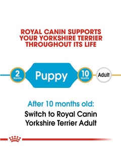 ROYAL CANIN Dry food for dogs 1.5 kg  - Image 4