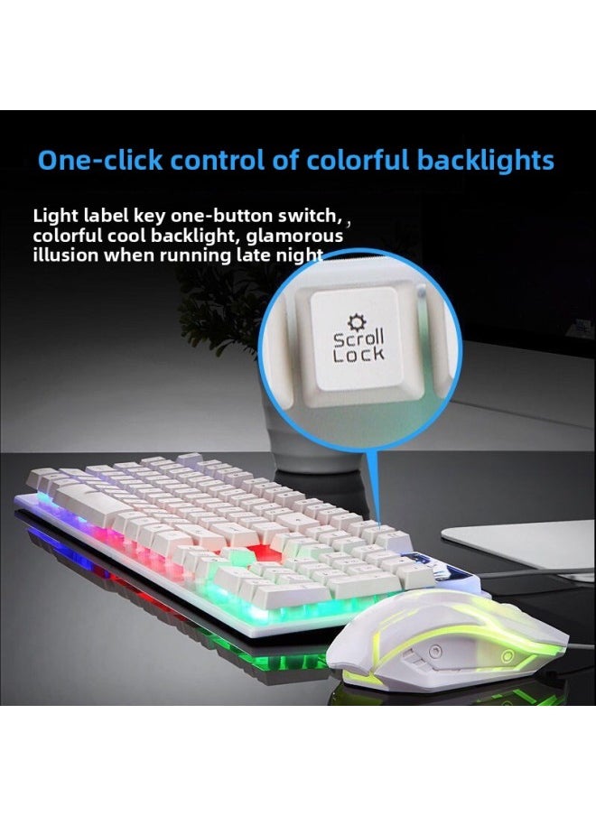 Generic - Zhaoyin Mechanical Feel Keyboard Mouse Suit Game Desktop Computer Notes Cable Office Special Typing Home-Color:Hot Selling-white Ice Blue Light Keyboard + Mouse - Image 1