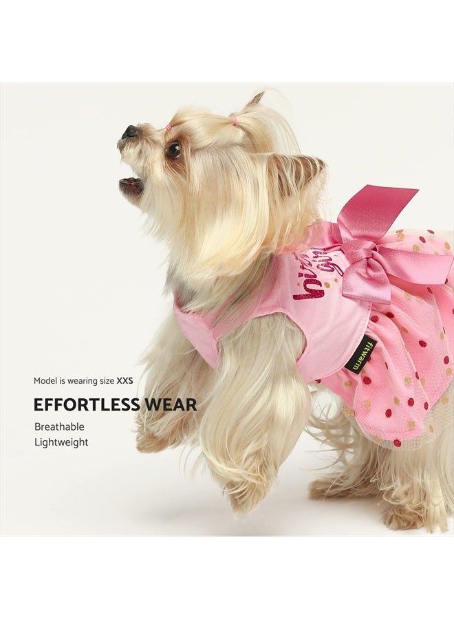 Fitwarm Birthday Girl Dog Tulle Dress, Dog Clothes for Small Dogs Girl, Cat Apparel, Pink, Large - Image 2