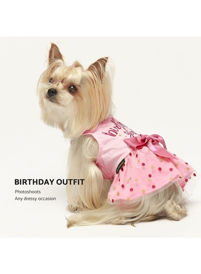 Fitwarm Birthday Girl Dog Tulle Dress, Dog Clothes for Small Dogs Girl, Cat Apparel, Pink, Large - Image 4