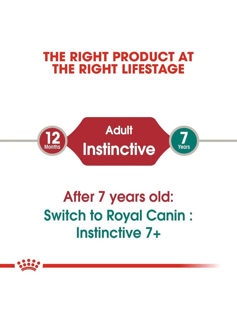 ROYAL CANIN رويال كانين للعناية بالشعر والجلد طعام رطب شرائح في صلصة للقطط البالغة (1+ سنة) 12 × 85 جرام كيس - Image 3