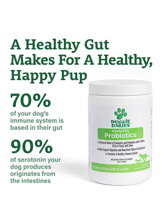 Doggie Dailies Doggie Dailies Probiotics for Dogs, Advanced Dog Probiotics with Prebiotics, Promotes Digestive Health, Supports Immune System and Overall Health (Duck)  - Image 5