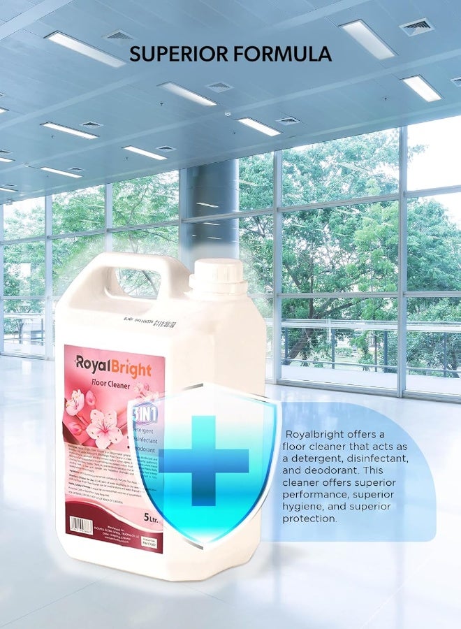 packwell Royalbright 5 Liter Floor Cleaner Lavender Perfumed Disinfectant Detergent - Image 4
