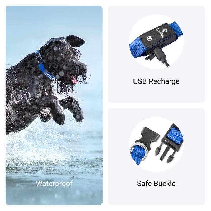 Tractive LED Light Up Dog Collar USB Rechargeable Waterproof (Blue), Large - Image 4