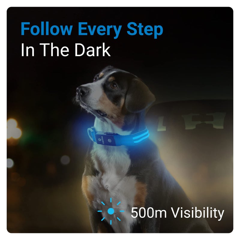 Tractive LED Light Up Dog Collar USB Rechargeable Waterproof (Blue), Large - Image 2