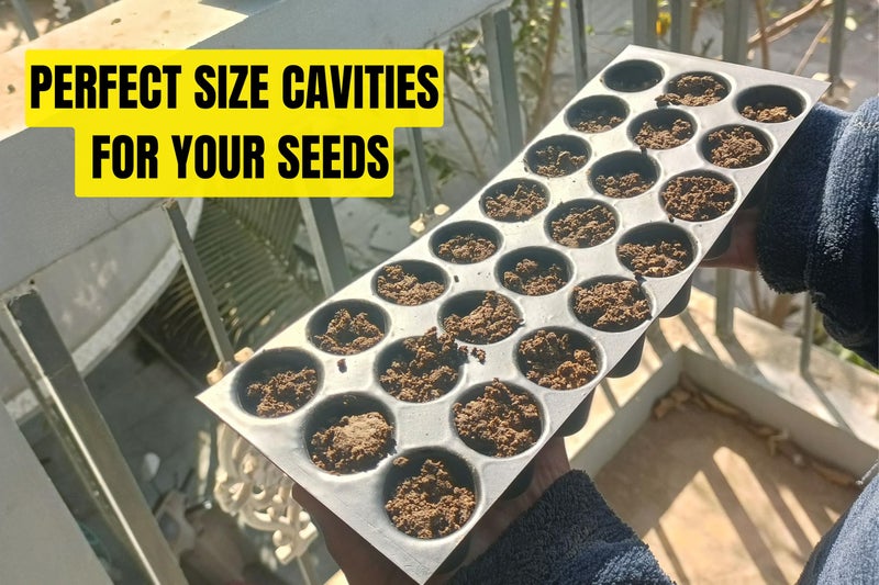 Halsey Germination Seedling Tray - (Black,21 Holes) Germination Tray for Seedling, Nursery Trays for Plants, Reusable Trays for Garden Plantation, 104 Cavities Tray for Seeding(Pack of 5) - Image 5