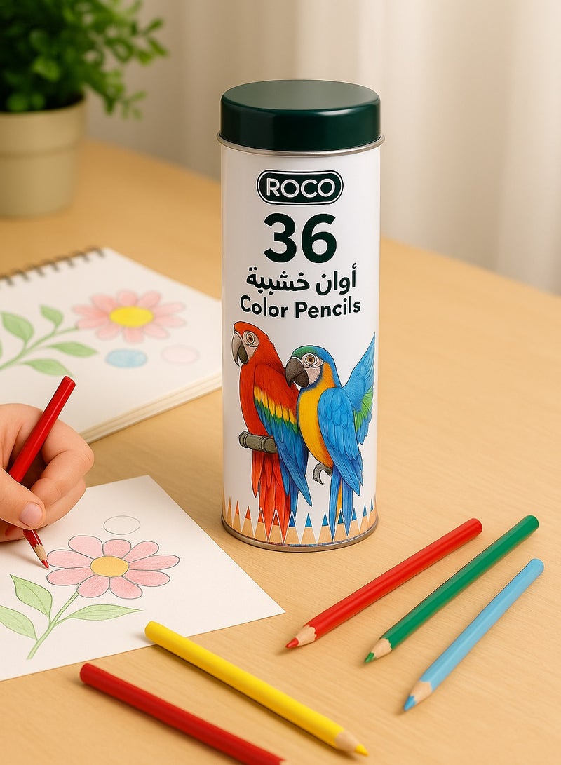 ROCO Water Color Pencils 36 Colors Set in Cylinder Box for Kids, Artists, Drawing, Sketching, School Art Supplies - Image 3