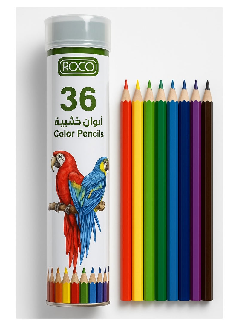 ROCO Water Color Pencils 36 Colors Set in Cylinder Box for Kids, Artists, Drawing, Sketching, School Art Supplies - Image 4