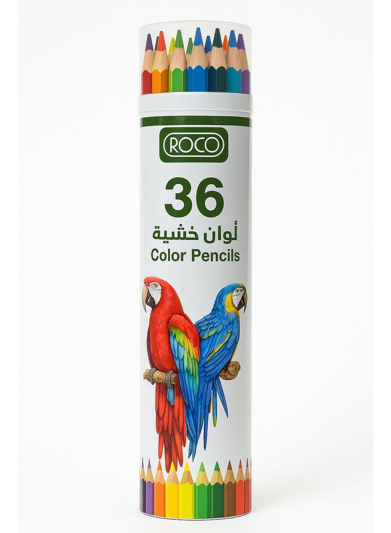 ROCO Water Color Pencils 36 Colors Set in Cylinder Box for Kids, Artists, Drawing, Sketching, School Art Supplies - Image 2