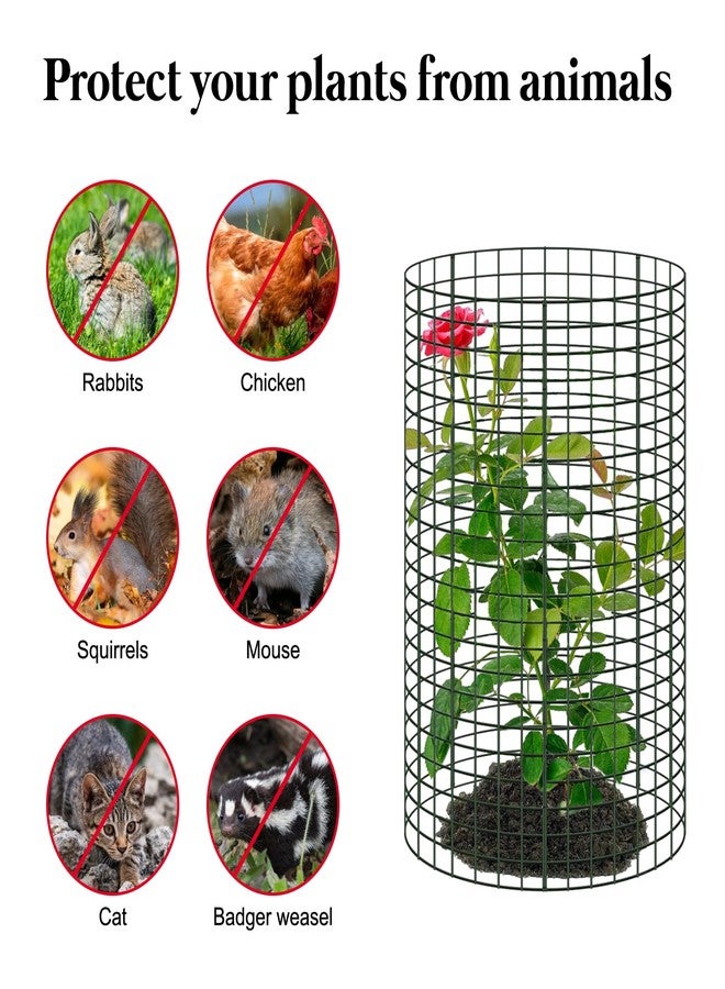 YEXEXINM 18 Pcs 24'' x 12'' Large Wire Plant Protector from Animals, 6 Pack Metal Plant Cage Chicken Wire Cloche with Ground Stakes and Nylon Tie to Keep Animals Out, Garden Protection Bunny Barricade - Image 4