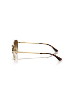 Vogue 0Vo4324S Cateye Sunglasses  - Image 5