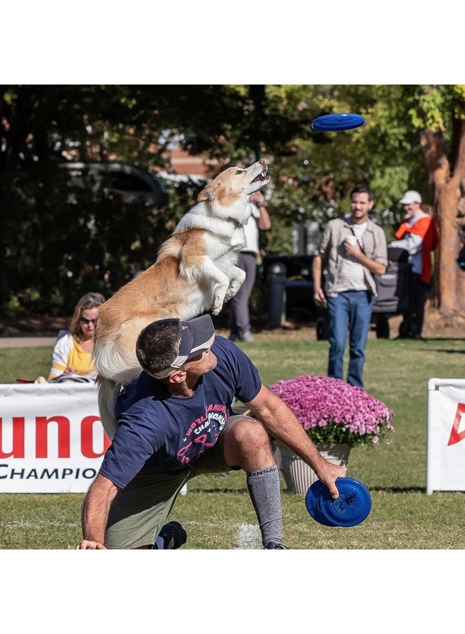 هايبر فلايت قرص طائر للكلاب من هايبرفلايت باب جاوز (90 جرامًا) • أقوى قرص طائر معتمد للمسابقات في العالم • أفضل لعبة قرص طائر للمسابقات للحيوانات الأليفة • مقاوم للثقب • مضاد للتوهج • 7 بوصات • لون التوت الأزرق - Image 2