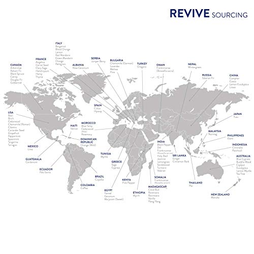 REVIVEEO Headache Relief Essential Oil Blend by Revive Essential Oils - 100% Pure Therapeutic Grade, for Diffuser, Humidifier, Massage, Aromatherapy, Skin & Hair Care - Image 3