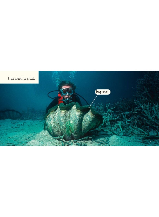 سفينة غارقة: المجلد 02a/أحمر أ - Image 2