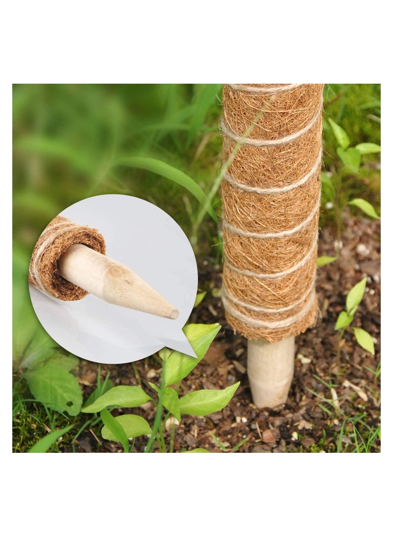 LOLAGO 2-Piece 40cm Moss Pole for Climbing Plants ,for Creepers Monstera and Other Indoor  Support Extension - Image 3