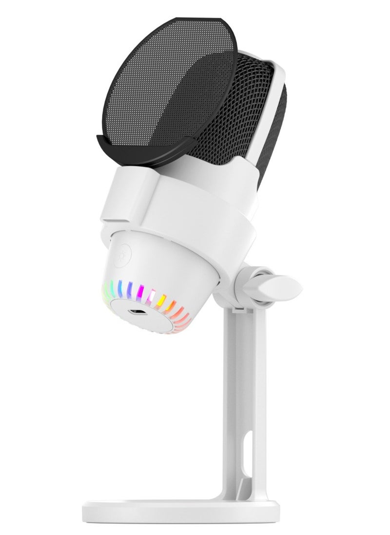 Anmi Condenser Microphone, USB Computer Gaming Mic for/PC/PS4/ PS5/Desktop, Plug & Play, RGB Light, Pop Filter, Studio Microphone for Gaming, Streaming, Recording, Podcasts, Twitch, YouTube, Discord  - Image 1
